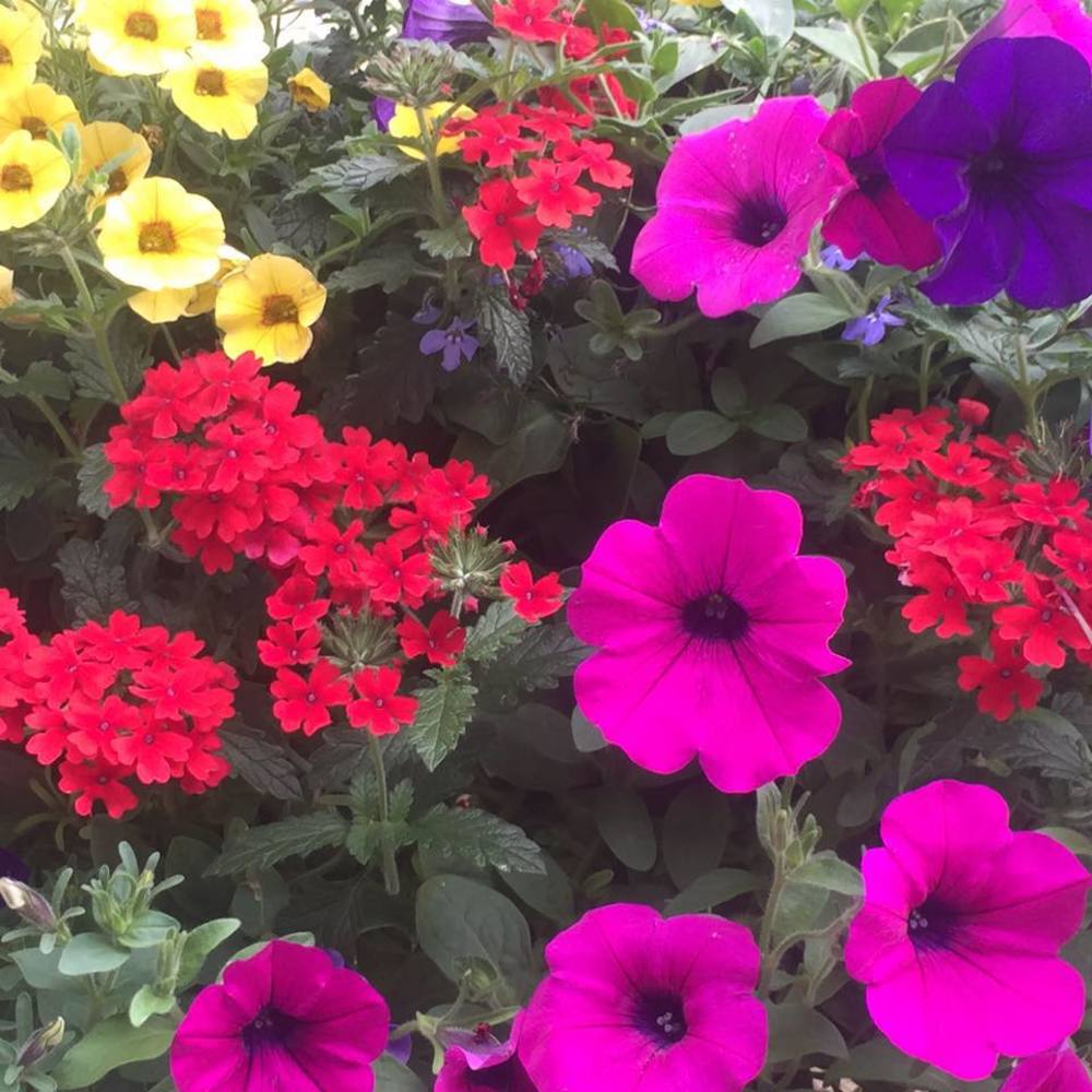 Meet your Posher, Beth